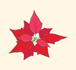 Top view of poinsettia in flat vector illustration
