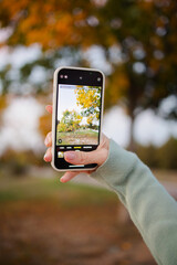 Close up phone shoots an autumn park on the phone. Concept: autumn season, walk in the park, orange, red leaves. Blogger. Emotional communications