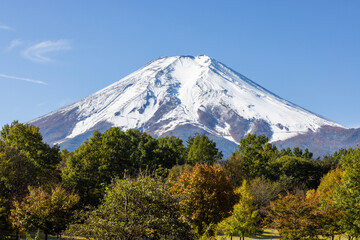 Mt, Fuji