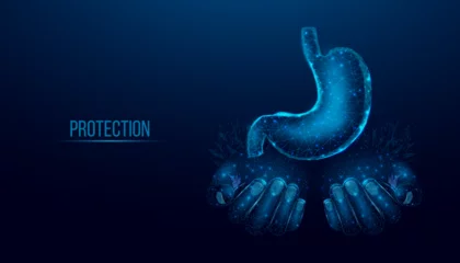 Foto op Canvas Two human hands are holds human stomach. Concept for medical, treatment of the digestive system.  Abstract modern 3d vector illustration on dark blue background. © Elena