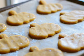 cut out cookies shapes of raw pumpkin dough on baking sheet