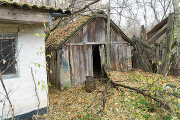 Old wooden tool room near to a white house with leaves at ground in autum chernobyl radioactive...