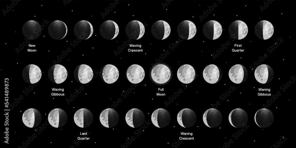 Canvas Prints moon phases scheme sphere shadow cycle astronomy icon set. vector illustration background