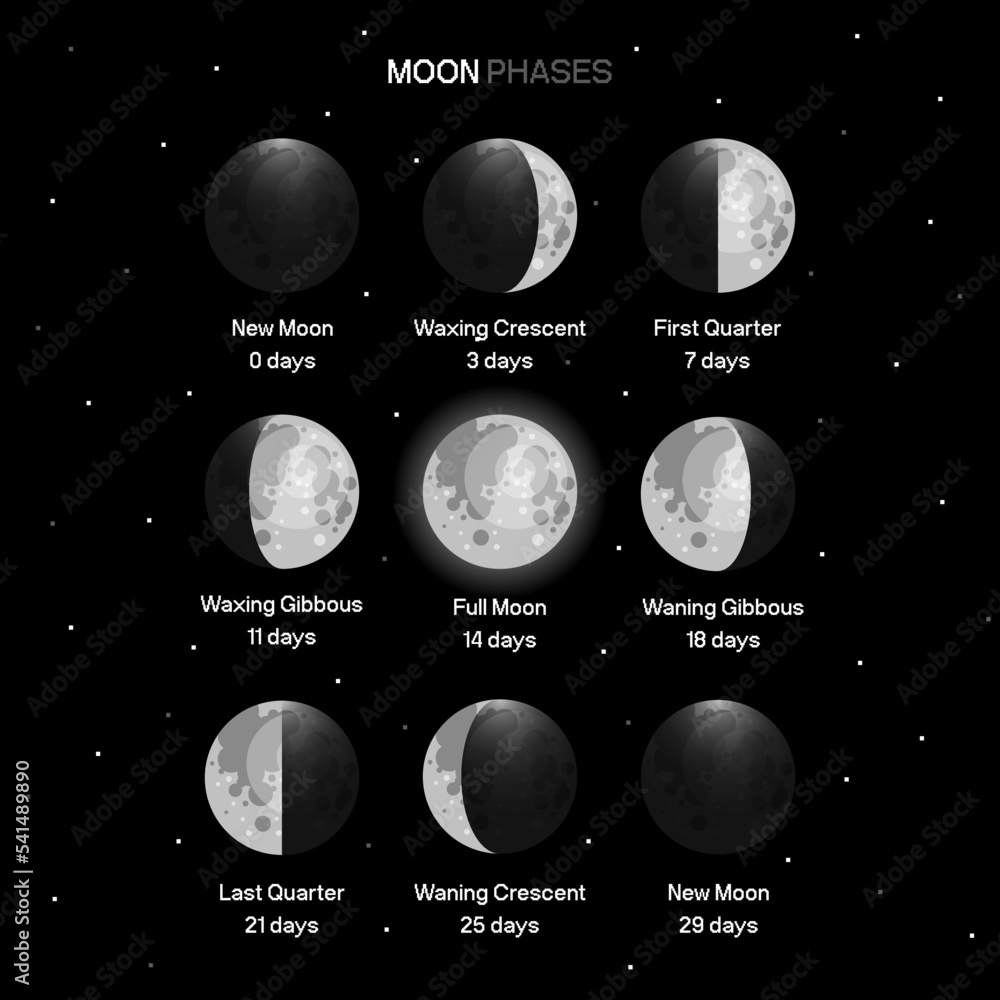 Poster moon phases scheme sphere shadow cycle astronomy icon set. vector illustration background