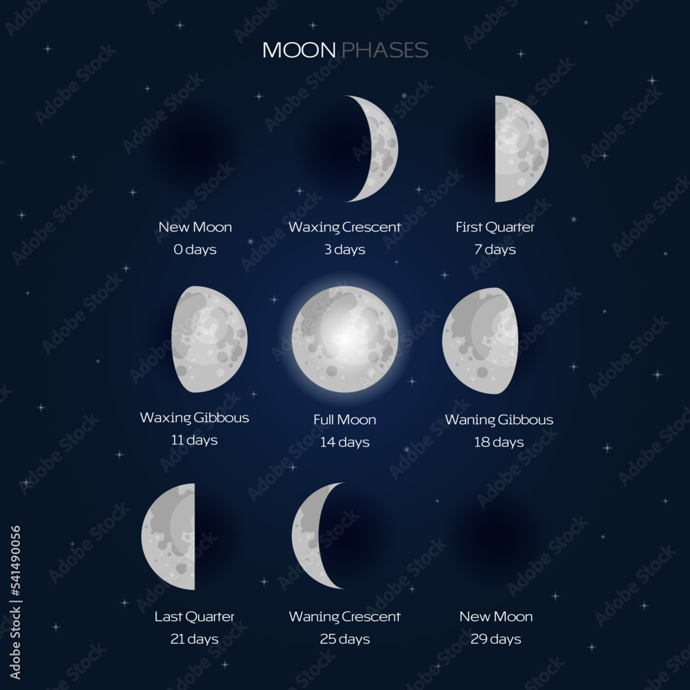 Poster moon phases scheme sphere shadow cycle astronomy icon set. vector illustration background