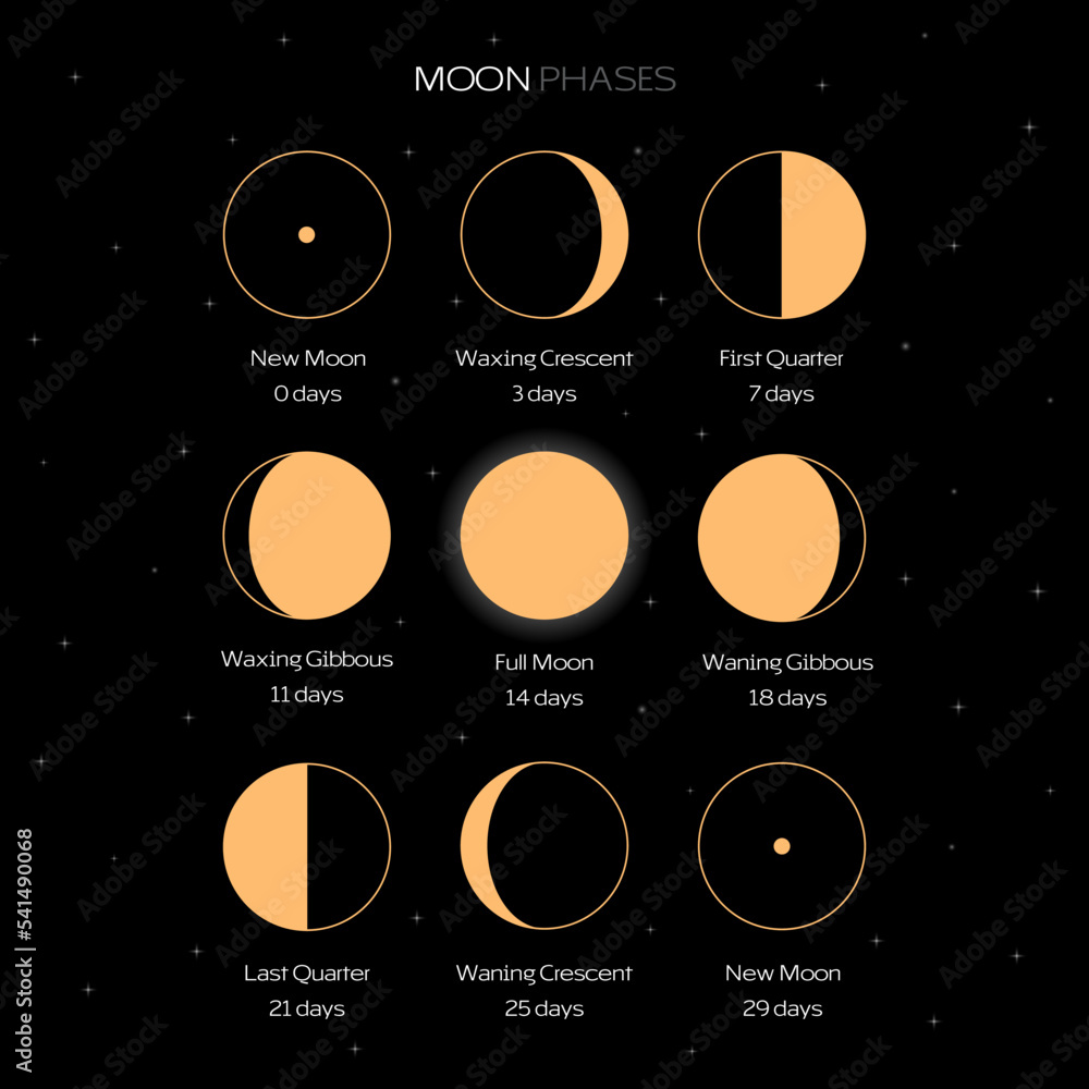 Poster moon phases scheme sphere shadow cycle astronomy icon set. vector illustration background