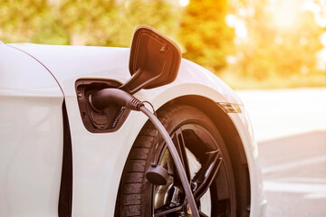 Electric Car Charger at Charging Station on Sunlight Nature Background 