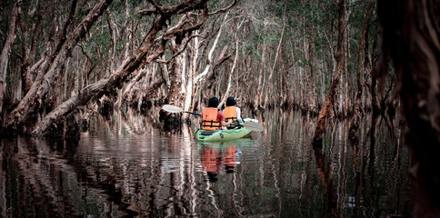 Traveller wearing safety jackets  paddling canoe kayak travel in wetlands in Wetland Sanctuary of...