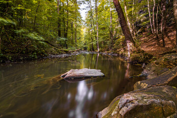 Herbstzauber in der Georgewitzer Skala/ Löbauer Wasser 3