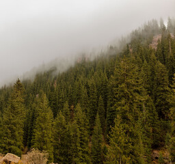fog in the mountains