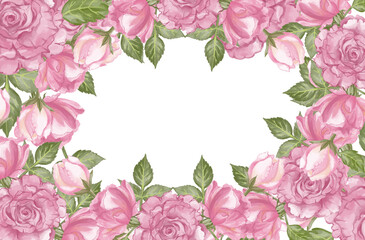 pink rose frame background