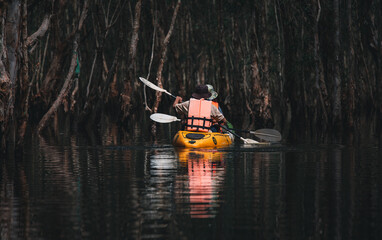 Traveller wearing safety jackets  paddling canoe kayak travel in wetlands in Wetland Sanctuary of...