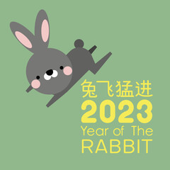 Happy Chinese new year 2023, the year of the rabbit zodiac. Little bunny greeting card, poster, banner, brochure, calendar. Translation text "Good luck in the year of the rabbit". Vector illustration.