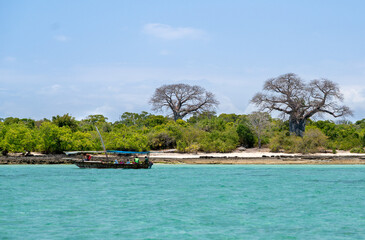 Zanzibar dhow with baobabboom