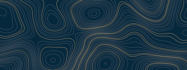 Fototapeta na wymiar The stylized blue and golden abstract topographic map with lines and circles background. Topographic map and place for texture. Topographic gradient linear background with copy space. 