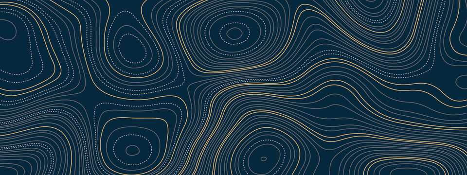 The stylized blue and golden abstract topographic map with lines and circles background. Topographic map and place for texture. Topographic gradient linear background with copy space. © Ahmad Araf
