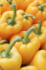  Yellow capsicum in a row close up 
