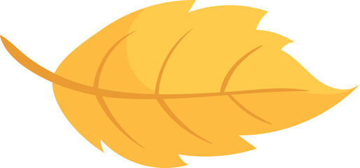 Yellow leaf. Autumn tree foliage cartoon icon