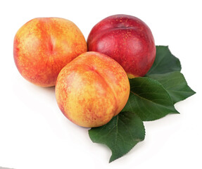 fresh nectarines with leaves isolated on white background