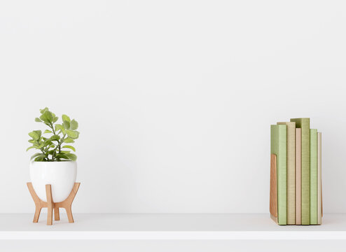 Interior wall mockup with green plant in vase  and books on empty white background with free space on center. 3D rendering, illustration.