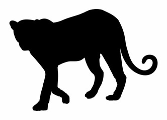 Walking (Standing) Tiger, Leopard, Cheetah, Black Panther, Jaguar, (Big Cat Family) Silhouette for Logo or Graphic Design Element. Format PNG