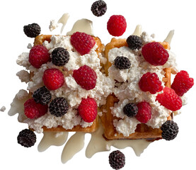 Delicious and beautiful breakfast. Waffles with cottage cheese cream, seasonal berries and topping. A healthy dessert.