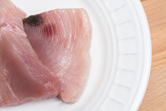 close up of fresh albacore fish fillets on the plate