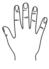 Human hand drawing