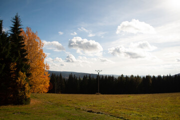 beautiful autumn landscape. view from the mountain to the green fields, trees. tranquility and nature