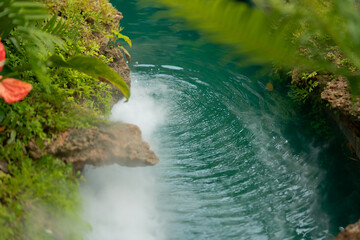 Green garden decoration with fog.
