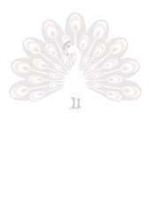 White peacock  Stock vector design. Isolated transparent background.	

