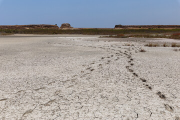 Desert with footprints on the site of a dried-up lake