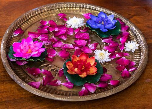 decorative colorful flower floating at water in copper plate