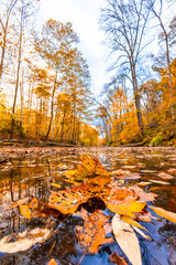 Patapsco state park river in the fall with fall foliage
