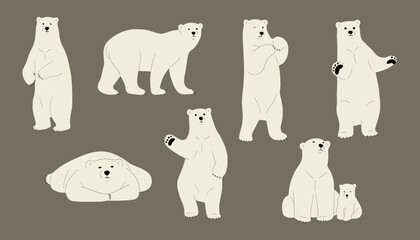 polar bear cute 1, vector illustration