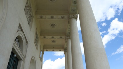 White Ionic columns