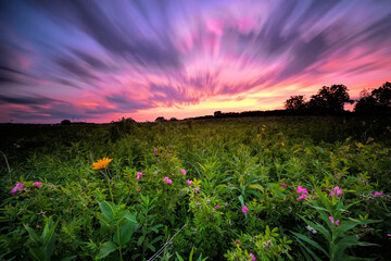 Fototapeta na wymiar Sunset over prairie grass in Madison, WI