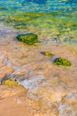 Stones rocks corals turquoise green blue water on beach Mexico.