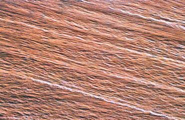 Natural wood pattern, texture