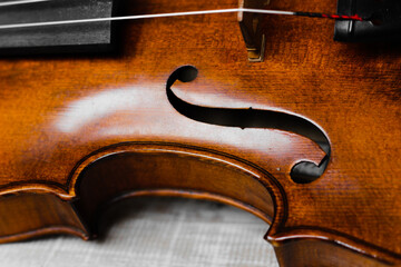 violin - an orchestral or solo professional bowed musical instrument with four strings. loved by...
