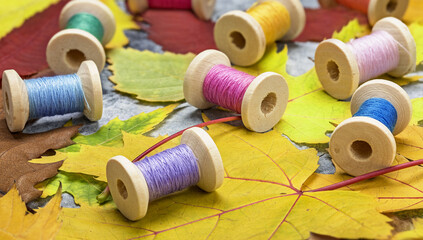 Colored sewing threads on bobbins against a background of dry autumn leaves.