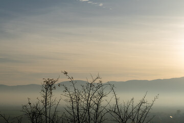 Obraz na płótnie Canvas Sunrise field fog in morning. Forest tree mist landscape