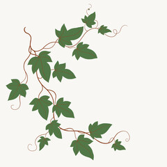 Floral ivy drawing decorative ornament flat design.