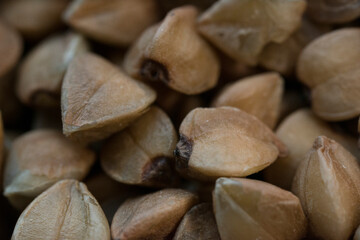 Buckwheat groats close-up, macro photo.