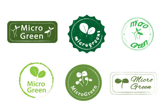 Set of vector logos of microgreens. Healthy food concept, organic food symbol design