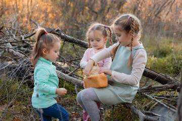 three little girls have a picnic in the autumn forest and are eating bread. children walk outdoors
