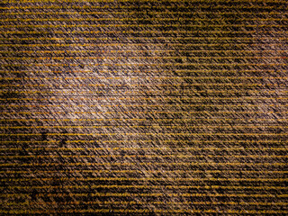 Vue aérienne symétrie vignes vin bordeaux