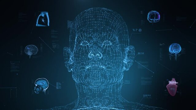 Artificial Intelligence Face Scanner. Facial Recognition and Biometric Medical Information. 3D Model Animation of Wireframe Human Body. Head, Brain And Torso MRI. Virtual Reality.