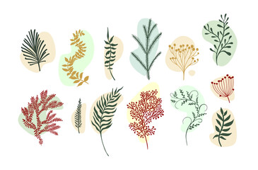 Vector abstract botanical compositions. Boho story highlites template. Set of abstract leaves and twigs. Vector illustration