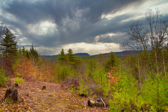 Joe English Hill In The Distance, Thick Clouds. 